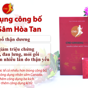 Nhan Sam Hoa Tan CND GINSENG RED muadishop 3