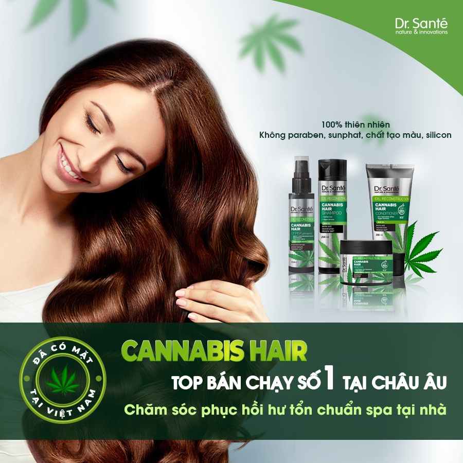 Dau xa Cannabis Hair 200ml – cham soc toc chuyen sau phuc hoi hu ton 12