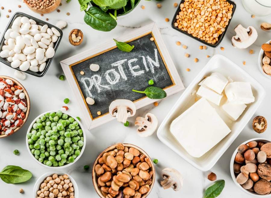 Protein thực vật  đóng vai trò quan trọng trong việc xây dựng và duy trì cơ bắp